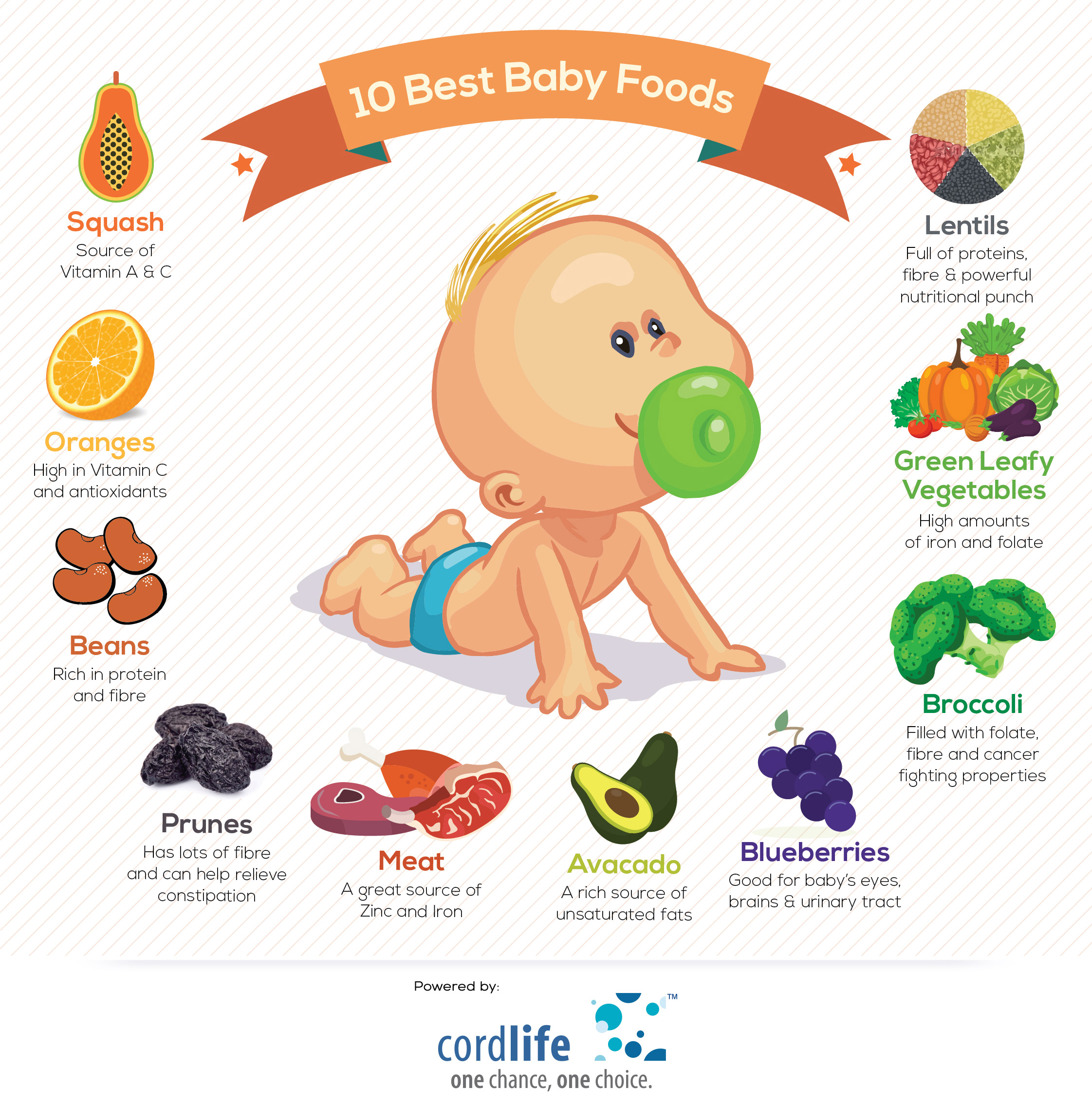 10 Best Baby Food