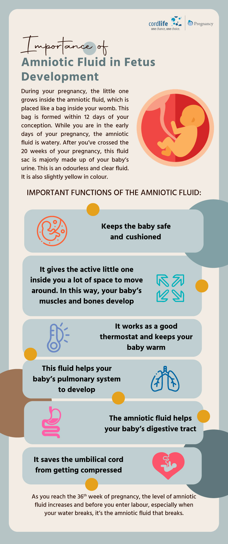 Importance of Amniotic Fluid in Foetal Development