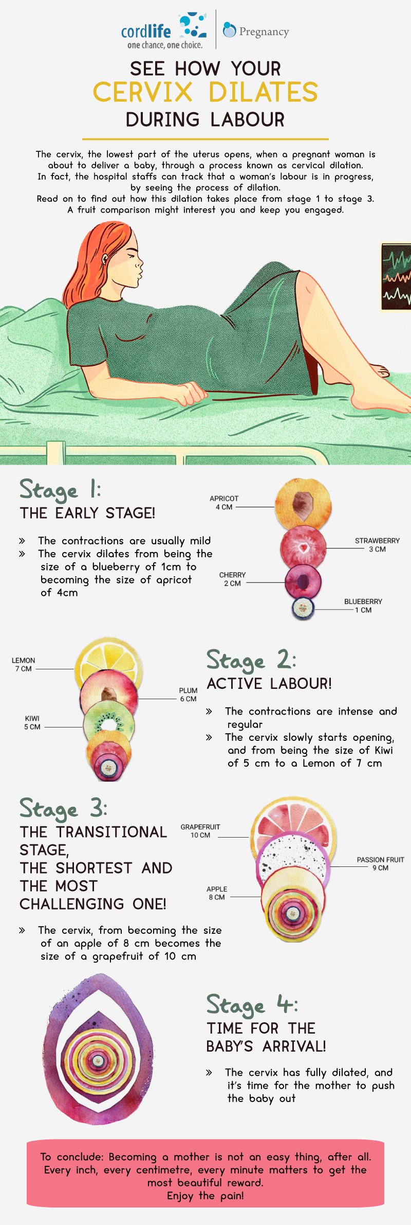 See how your cervix dilates during labour