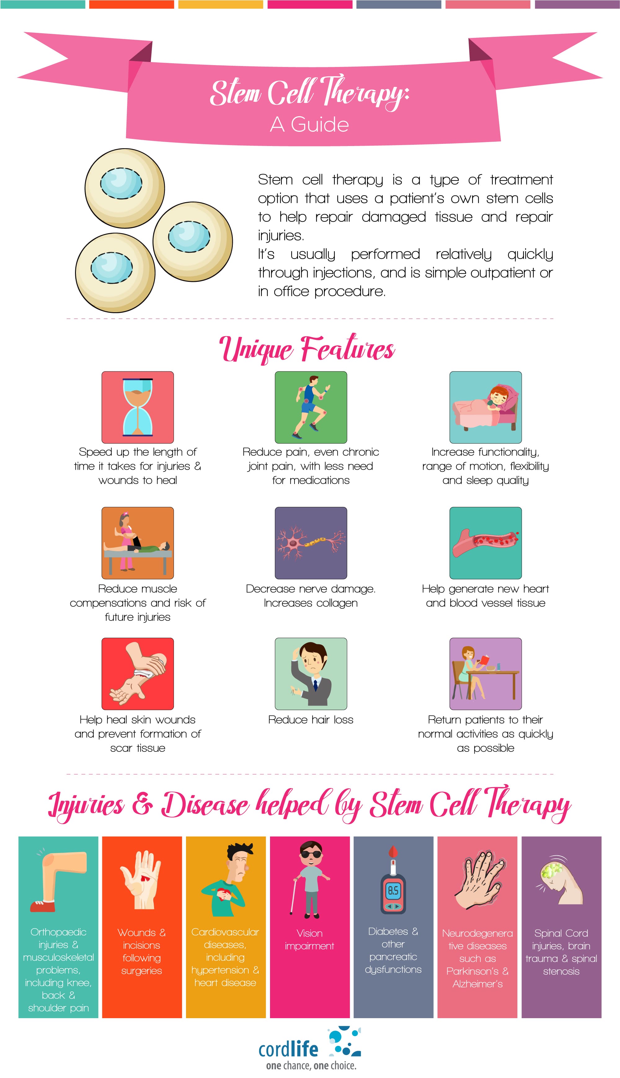 Stem Cell Therapy – A Guide