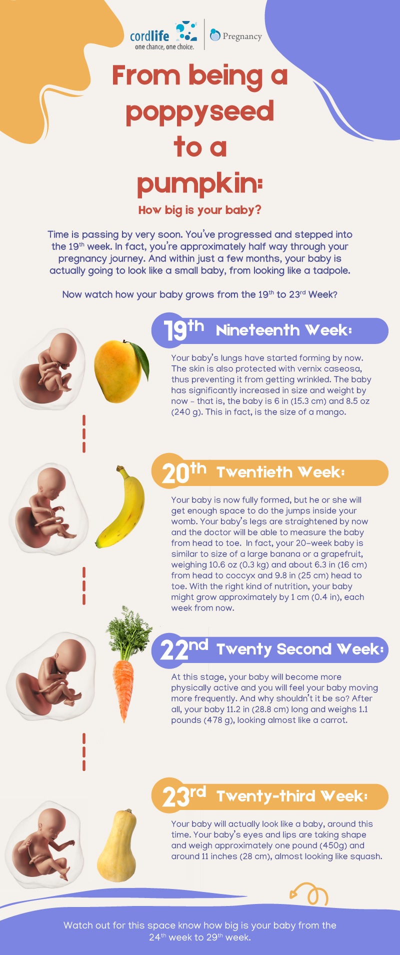 How Big is your baby? Part 4