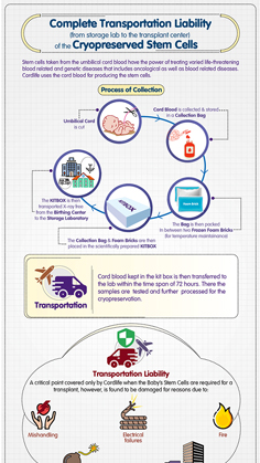 Complete transportation liability thumbnail