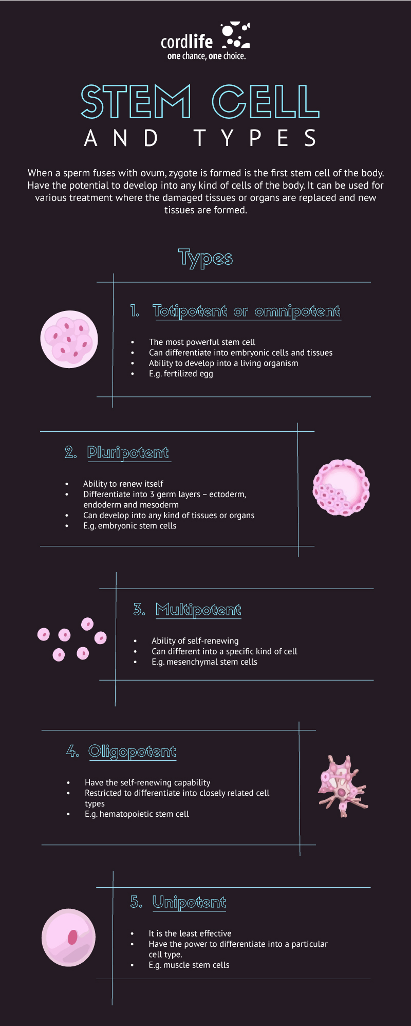 Stem-cells-and-types