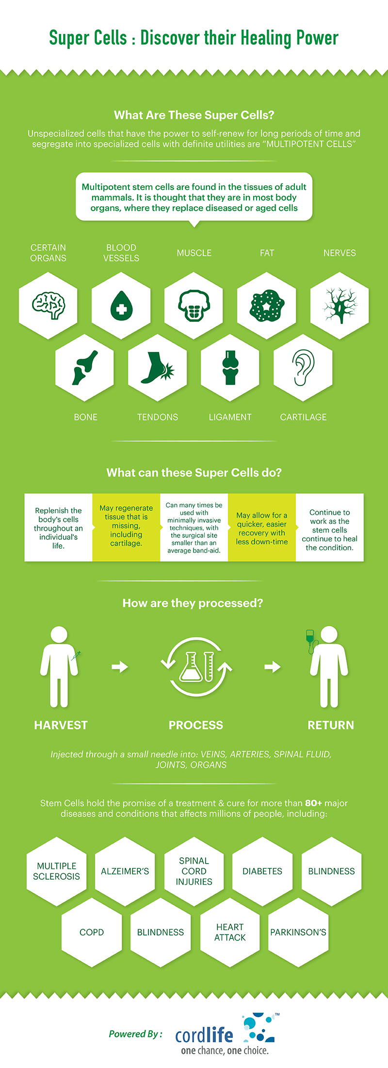 Super Cells - Discover their Healing Power