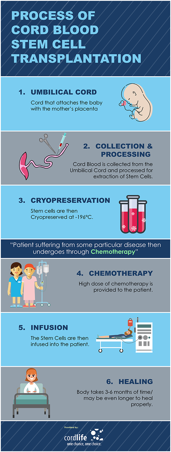 Process of cord blood stem cell transplantation