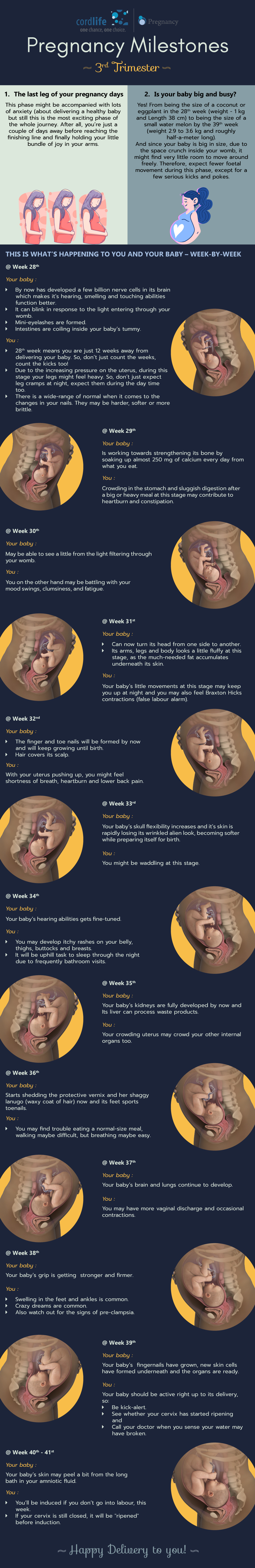 Pregnancy Milestones - 3rd Trimester