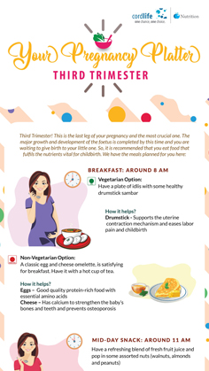 Your Pregnancy Platter - Third Trimester