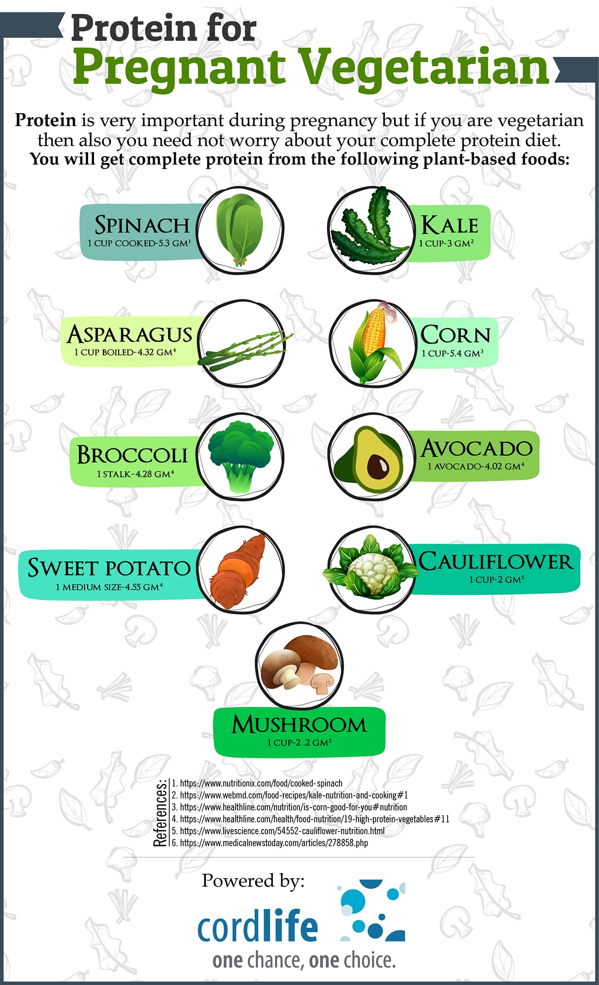 Protein From Plants For Pregnancy