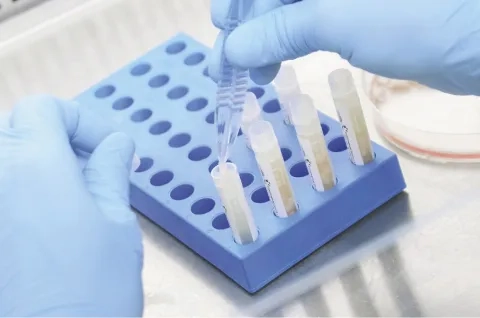 lab-cord-lining-process-tube