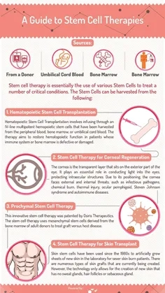 A Guide to Stem Cell Therapy