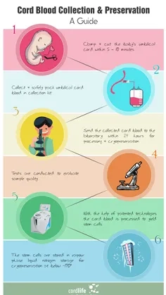 Cord-Blood-Collection--Preservation
