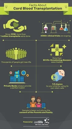 Facts about Cord Blood Transplantation thumbnail