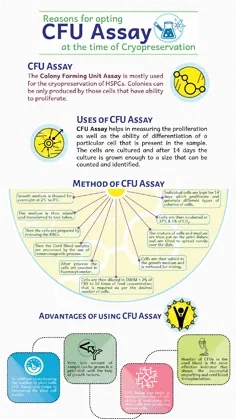 Reasons-for-opting-CFU-assay-at-the-time-of-cryopreservation
