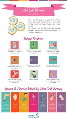 Stem Cell Therapy – A Guide Thumbnail