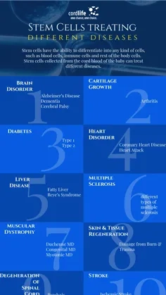 Stem-Cells-Treating-Different-Diseases