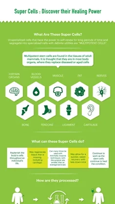Super Cells - Discover their Healing Power Thumbnail