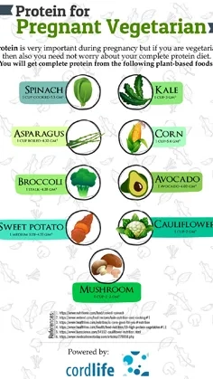 Protein From Plants For Pregnancy