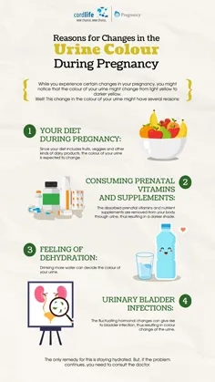Reasons for Changes in the Urine Colour During Pregnancy Thumbnail