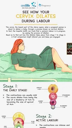 See how your cervix dilates during labour