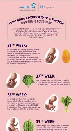 How big is your baby - Last Part
