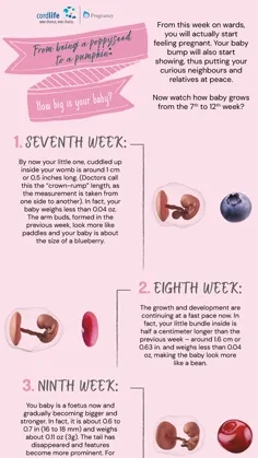 How Big is Your Baby? - Part 2