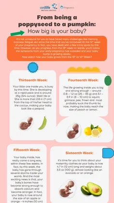 How Big is Your Baby? - Part 3
