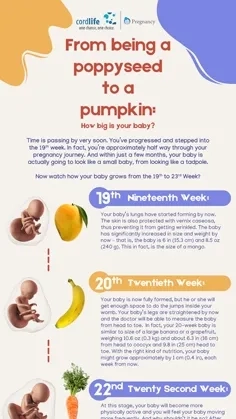 How Big is Your Baby? - Part 4