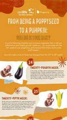 How Big is Your Baby? - Part 5