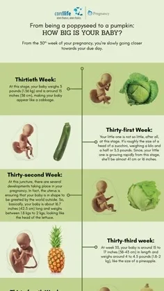 how-big-is-your-baby-part-6