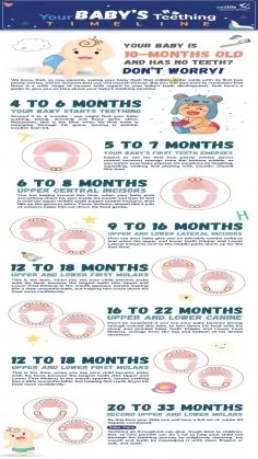 Your Baby's Teething Timeline