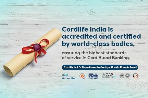 accreditation and certificate