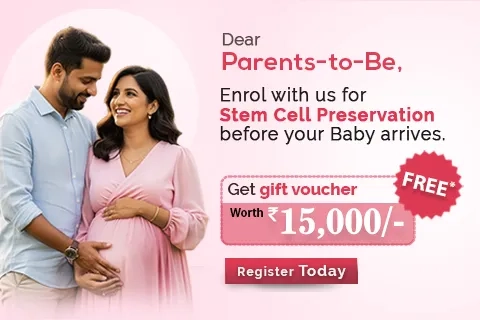 mobile banner festive offer