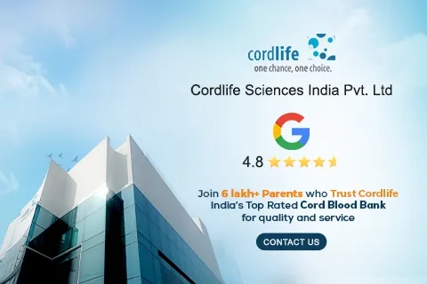 mobile google banner