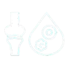 Bone and Blood